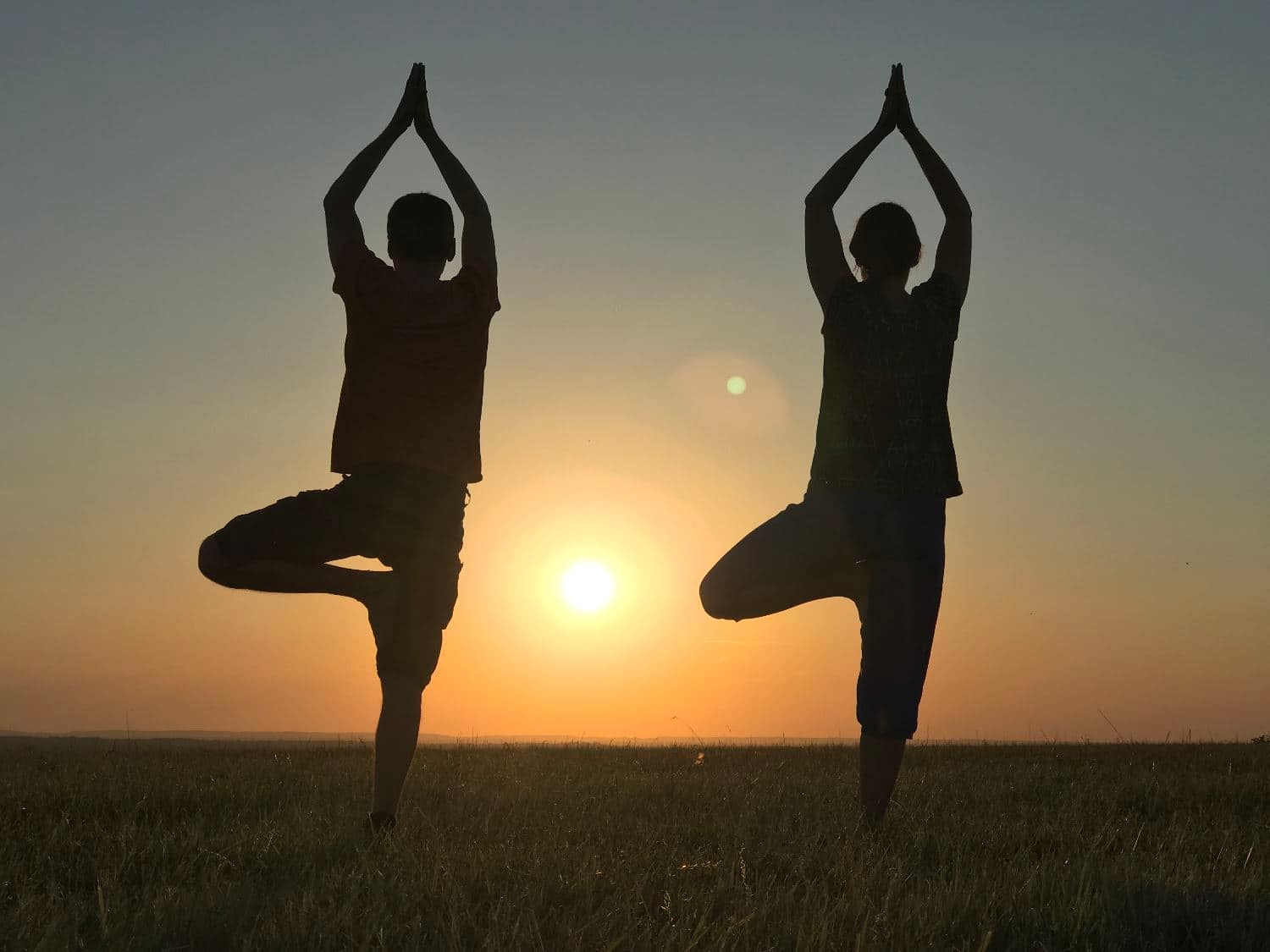 Stage d'été de yoga et méditation