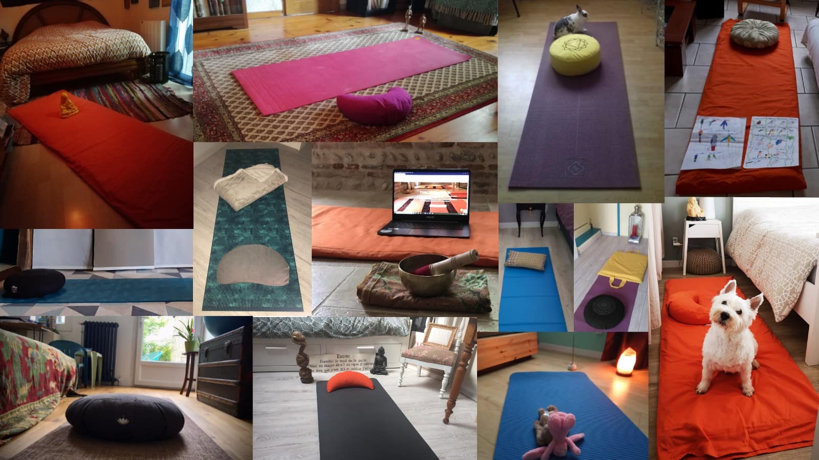 Yoga en confinement, mai-juin 2020