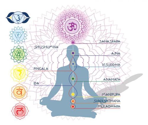 Stage yoga et énergie