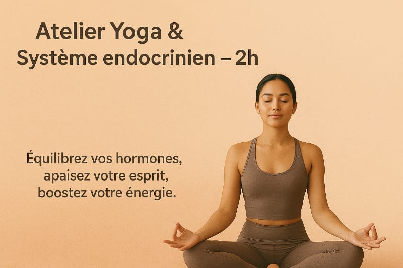 Atelier yoga système endocrinien